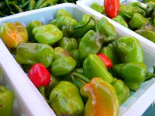 Piments cabri