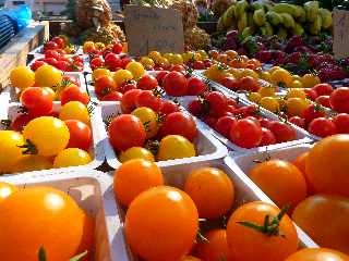 Tomates cerise