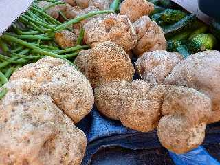 Patates de chouchou