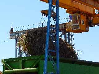 Tros - Centre de rception de Langevin - dchargement d'une remorque de cannes