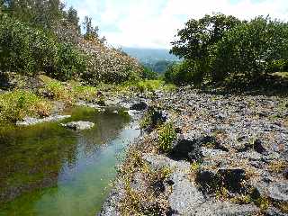 Rivire Langevin - Novembre 2011