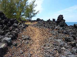 Langevin - Novembre 2011 - Sentier littoral