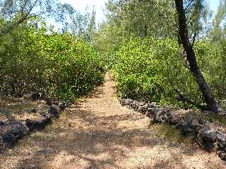 Langevin - Novembre 2011 - Sentier littoral