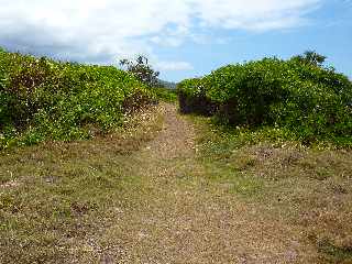 De Langevin  Vincendo - Sentier littoral -