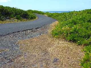 De Langevin  Vincendo - Sentier littoral - Arrive  la route