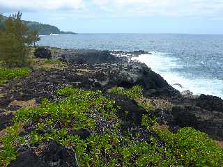 De Langevin  Vincendo - Sentier littoral - Cap Chien