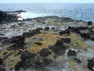 De Langevin  Vincendo - Sentier littoral - Cap Chien