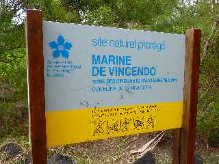 Site naturel protégé - Marine de Vincendo