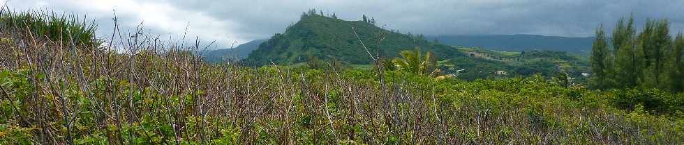 De Langevin  Vincendo - Sentier littoral - Piton Lambert