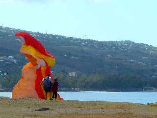 St-Leu - Parapentistes