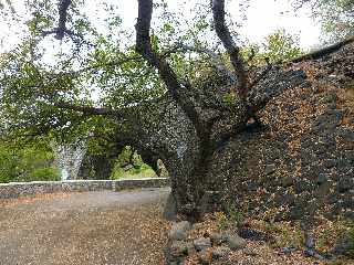 Saint-Leu - Ravine des Colimaons - Ancien pont du chemin de fer