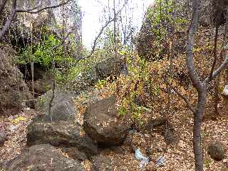 Saint-Leu - Ravine des Colimaons - Ancienne voie du chemin de fer - Eboulis