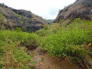 Saint-Leu - Ravine de la Chaloupe