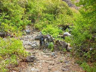 Saint-Leu - Ravine de la Fontaine -