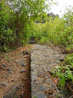 Saint-Leu - Ravine de la Fontaine - Sentier Pav -