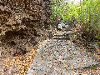 Saint-Leu - Ravine de la Fontaine - Sentier Pav -