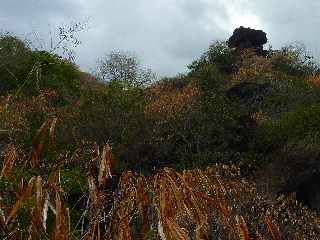 Saint-Leu - Ravine de la Fontaine - Roche Pt