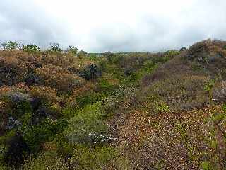 Saint-Leu - Ravine de la Fontaine