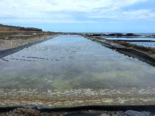 Saint-Leu - Pointe au Sel - Marais salants