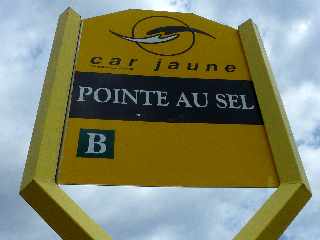 Saint-Leu - Pointe au Sel - Arrt Car Jaune