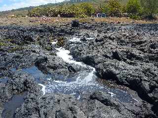 Cte sud-ouest - Coules basaltiques et tunnel de lave effondr