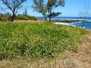 Cte sud-ouest - Vers la Pointe des Avirons