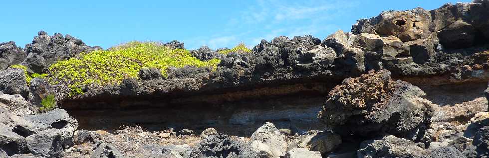 Ctes volcaniques de St-Leu  Etang-Sal - Crique de la Ravine des Sables -