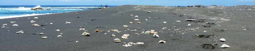 Cte sud-ouest -  Pointe des Avirons -