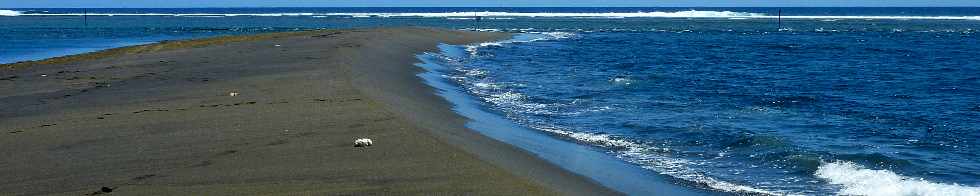 Etang-Sal les Bains 2011 -  Pointe des Sables