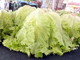 March forain de St-Pierre - 3 dcembre 2011 -  Salades