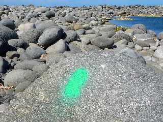 St-Louis -  Etang du Gol - Cordon littoral de galets