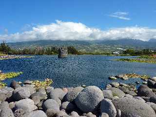 St-Louis -  Etang du Gol - Cordon littoral de galets