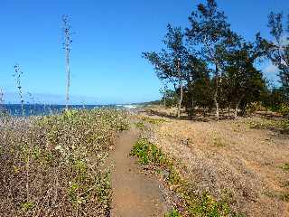 St-Louis -  Etang du Gol - Sentier littoral