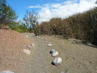 Sentier littoral de l'Etang du Gol  l'Etang-Sal les Bains -