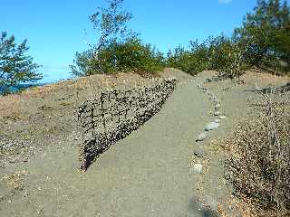 Sentier littoral de l'Etang du Gol  l'Etang-Sal les Bains - Fascines