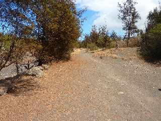 Sentier littoral de l'Etang du Gol  l'Etang-Sal les Bains - Vers la Ravine Sche