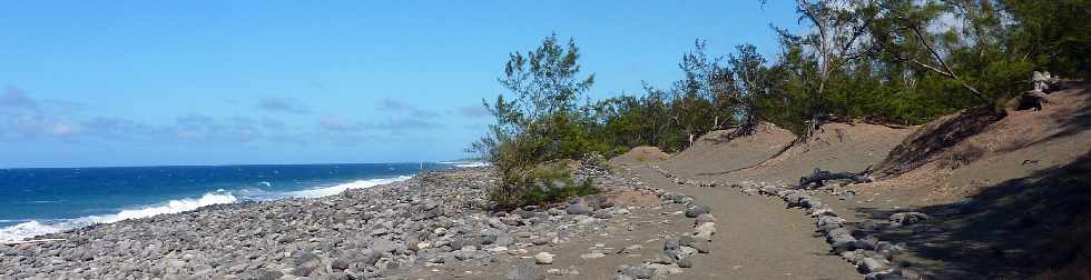 Sentier littoral de l'Etang du Gol à l'Etang-Salé les Bains - Galets et filaos