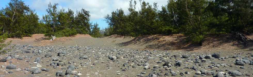 Sentier littoral de l'Etang du Gol  l'Etang-Sal les Bains - Dunes de sables