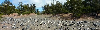 Sentier littoral Etang-Sal�
