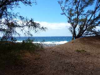 Sentier littoral de l'Etang du Gol  l'Etang-Sal les Bains -