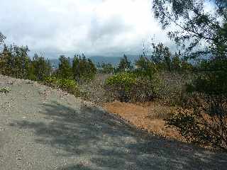 Sentier littoral de l'Etang du Gol  l'Etang-Sal les Bains -