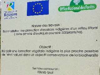 Sentier littoral de l'Etang du Gol  l'Etang-Sal les Bains - Plantations de l'ONF -