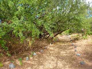 Sentier littoral de l'Etang du Gol  l'Etang-Sal les Bains -