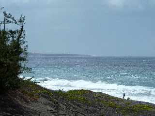 Sentier littoral de l'Etang du Gol  l'Etang-Sal les Bains -