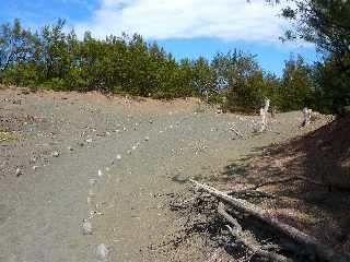 Sentier littoral de l'Etang du Gol  l'Etang-Sal les Bains -