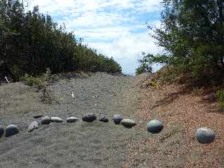 Sentier littoral de l'Etang du Gol  l'Etang-Sal les Bains -