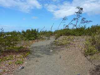 Sentier littoral de l'Etang du Gol  l'Etang-Sal les Bains -