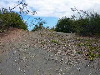 Sentier littoral de l'Etang du Gol  l'Etang-Sal les Bains -