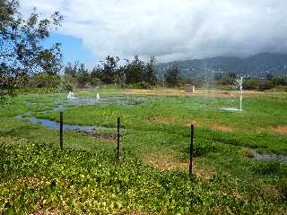 Sentier littoral de l'Etang du Gol  l'Etang-Sal les Bains - Station d'Epuration