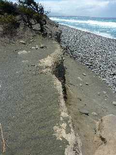 Sentier littoral de l'Etang du Gol à l'Etang-Salé les Bains - Falaise de sables fossilisés